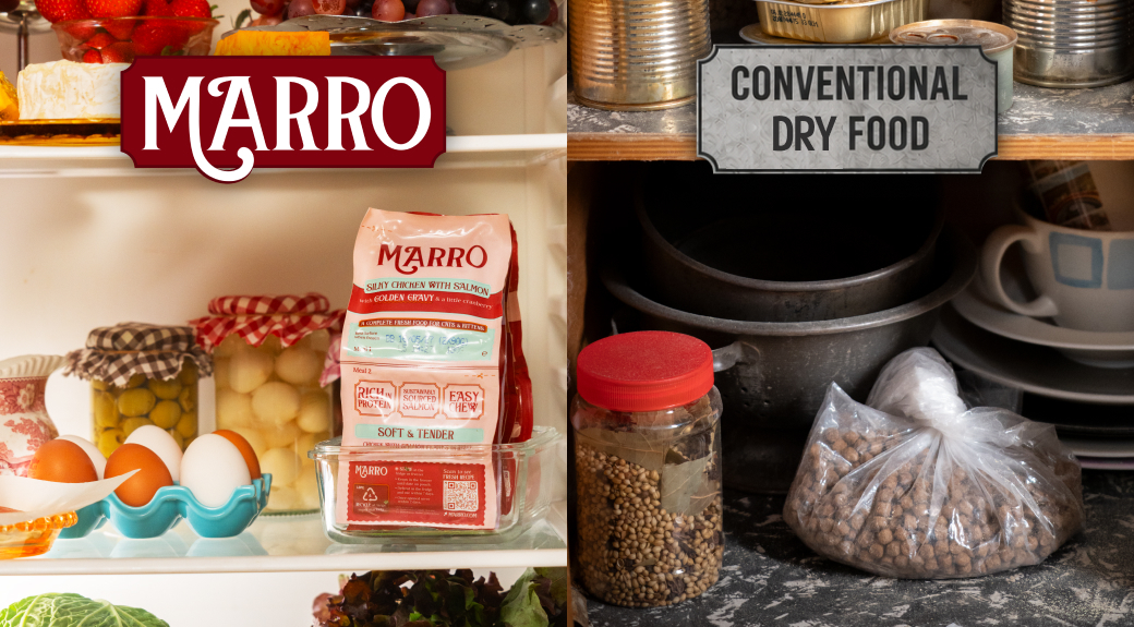 On the left, a refrigerator shelf with MARRO pet food and ingredients. On the right, a cupboard scene with conventional dry pet food and kitchen items.