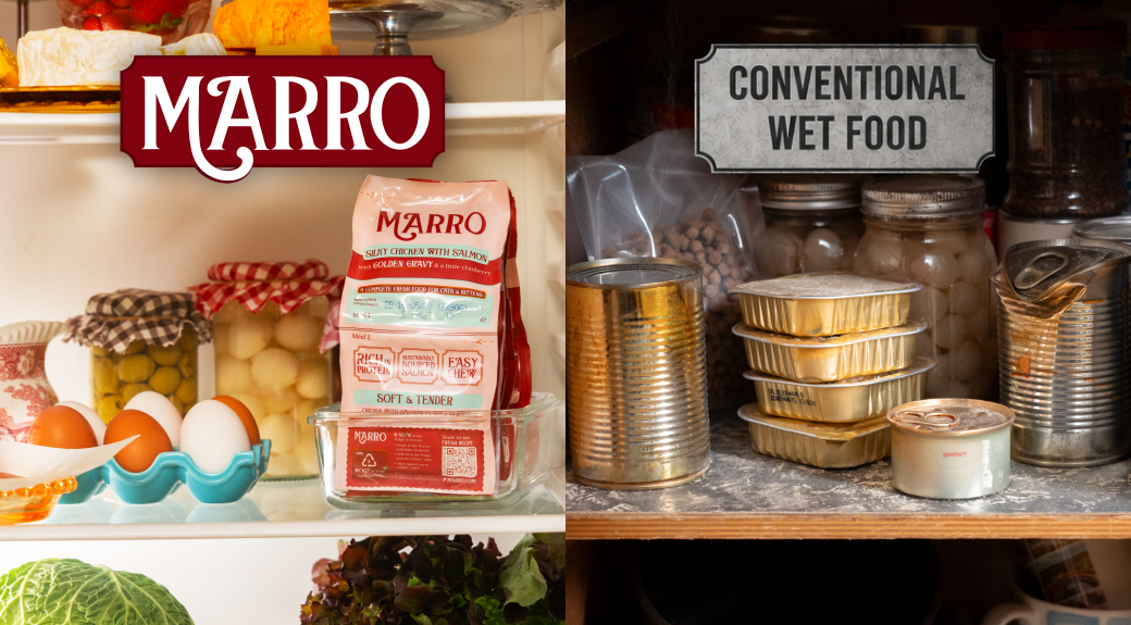 On the left, Marro fresh pet food with fresh ingredients. On the right, conventional wet food in cans and trays in a pantry.