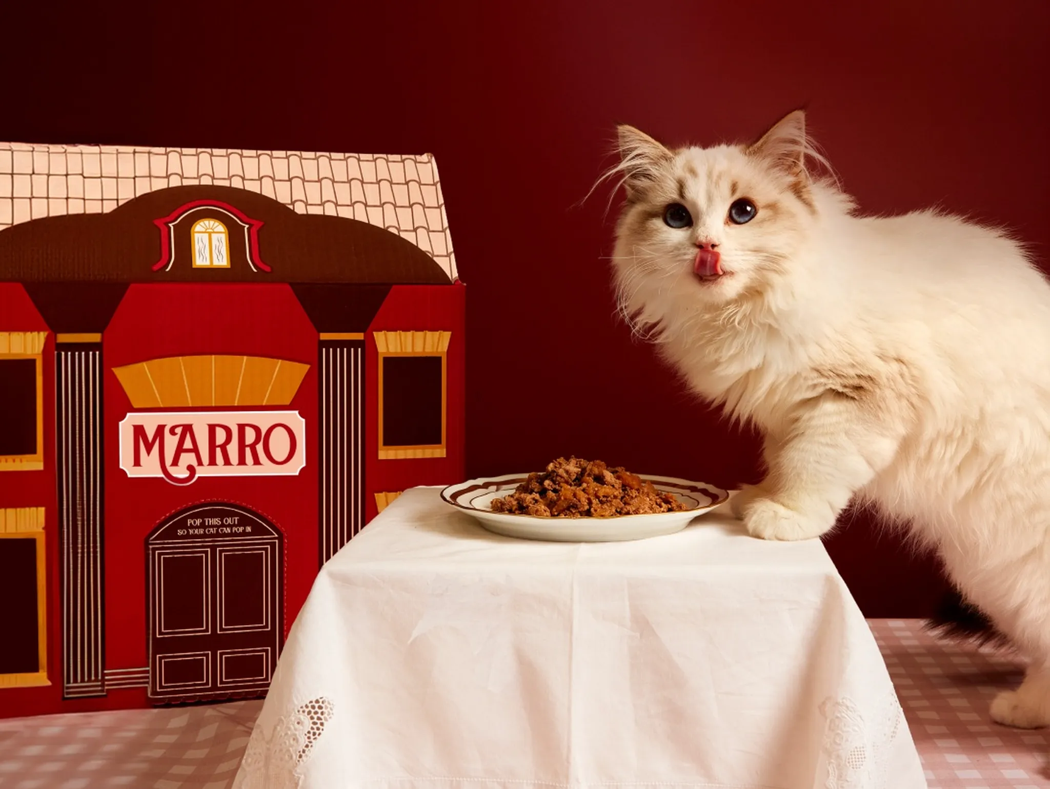 A ragdoll leaning over a bowl of fresh cat food on a little table next to a maroon Marro box that looks like a cat mansion
