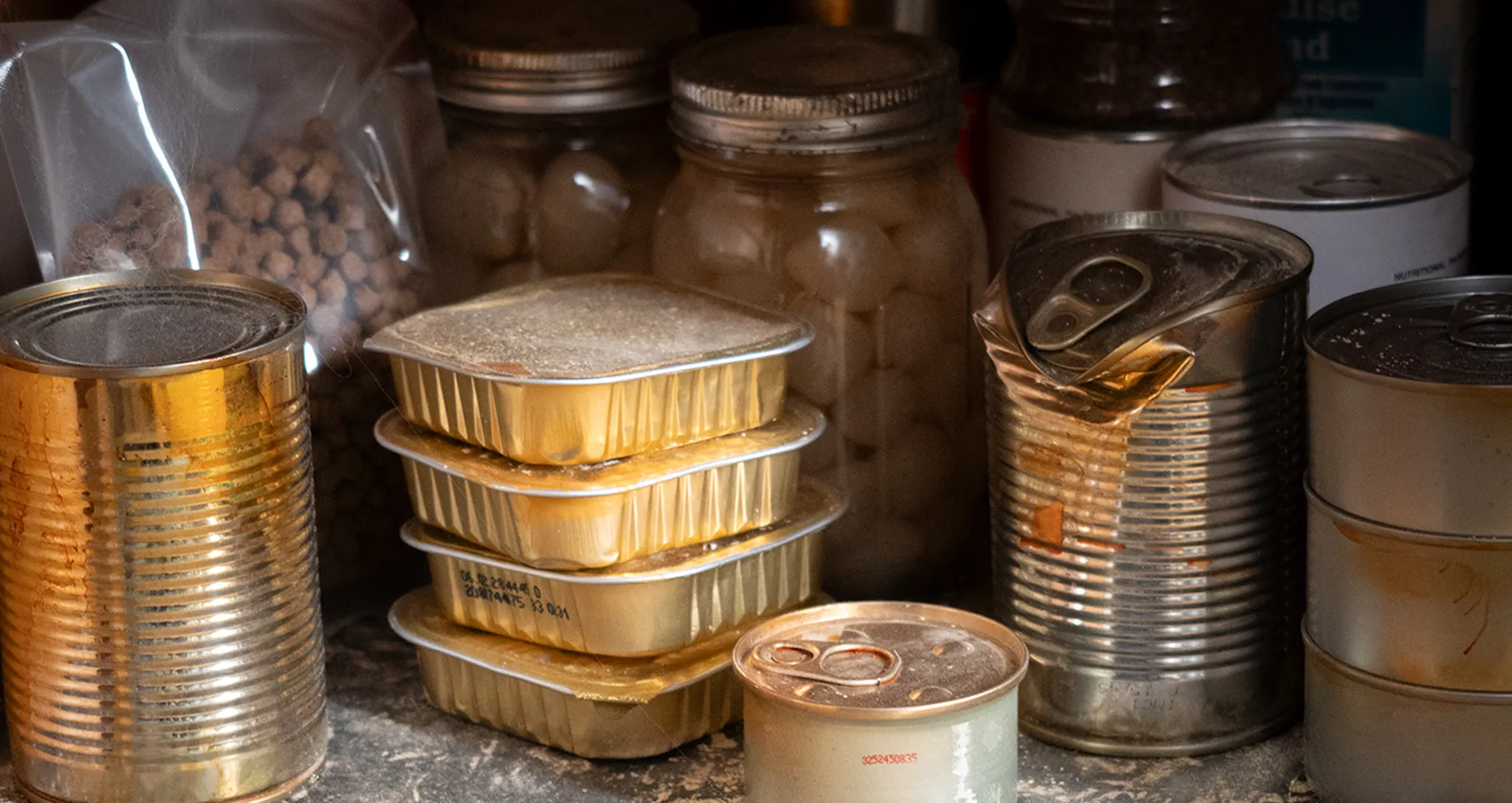 How to Read Cat Food Labels