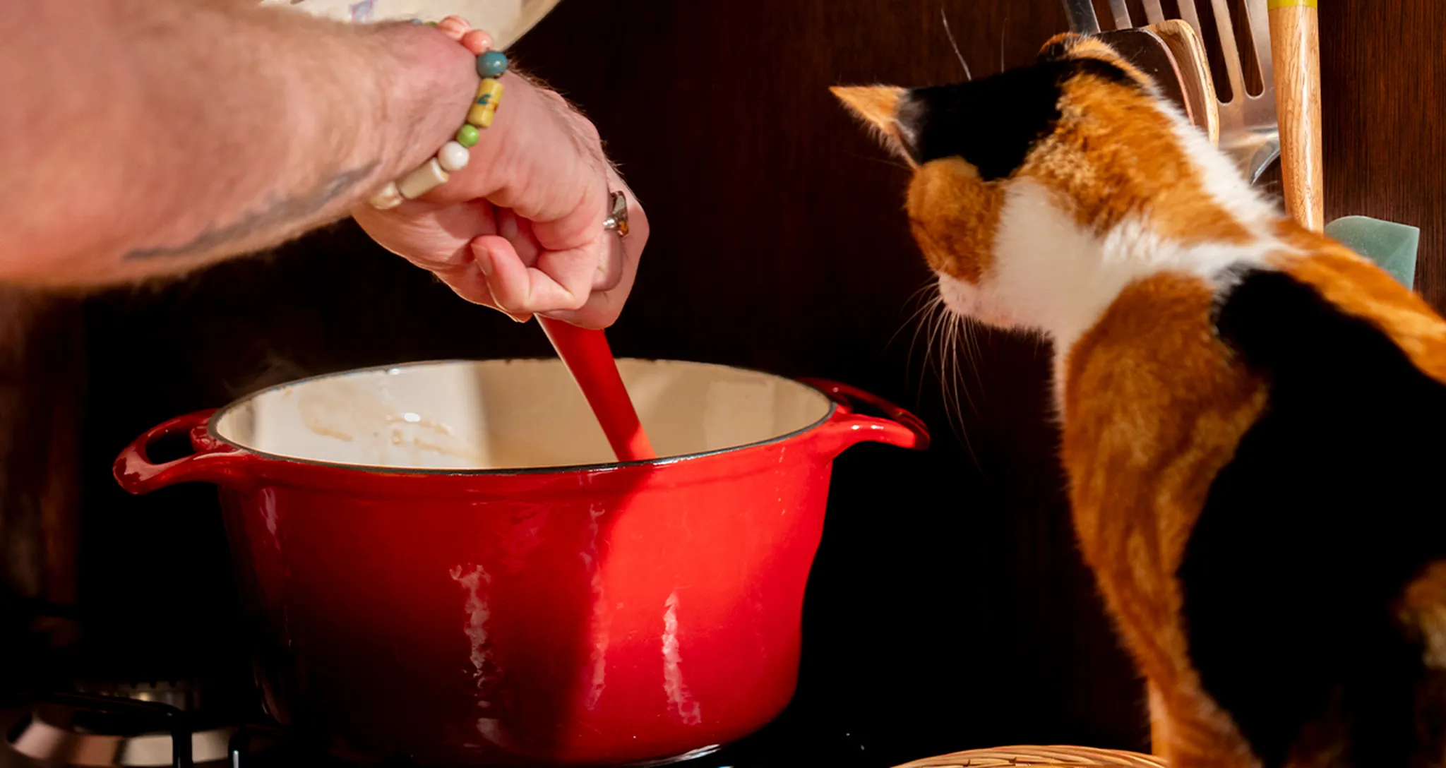 Taurine for cats