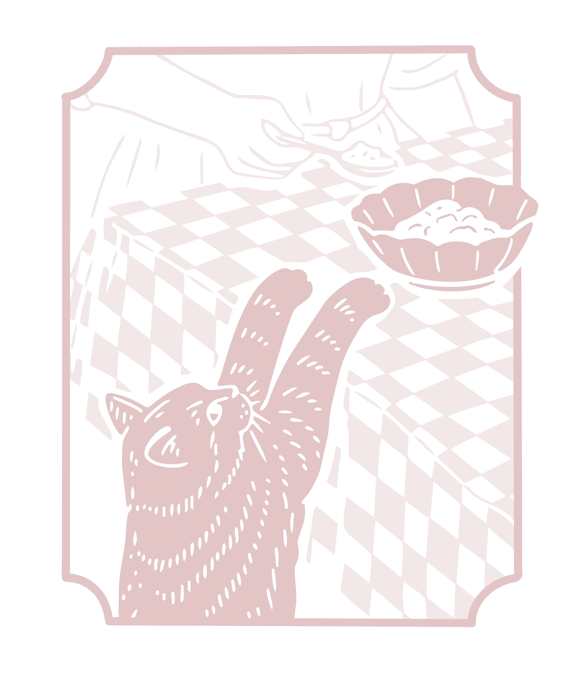 cat reaching for bowl