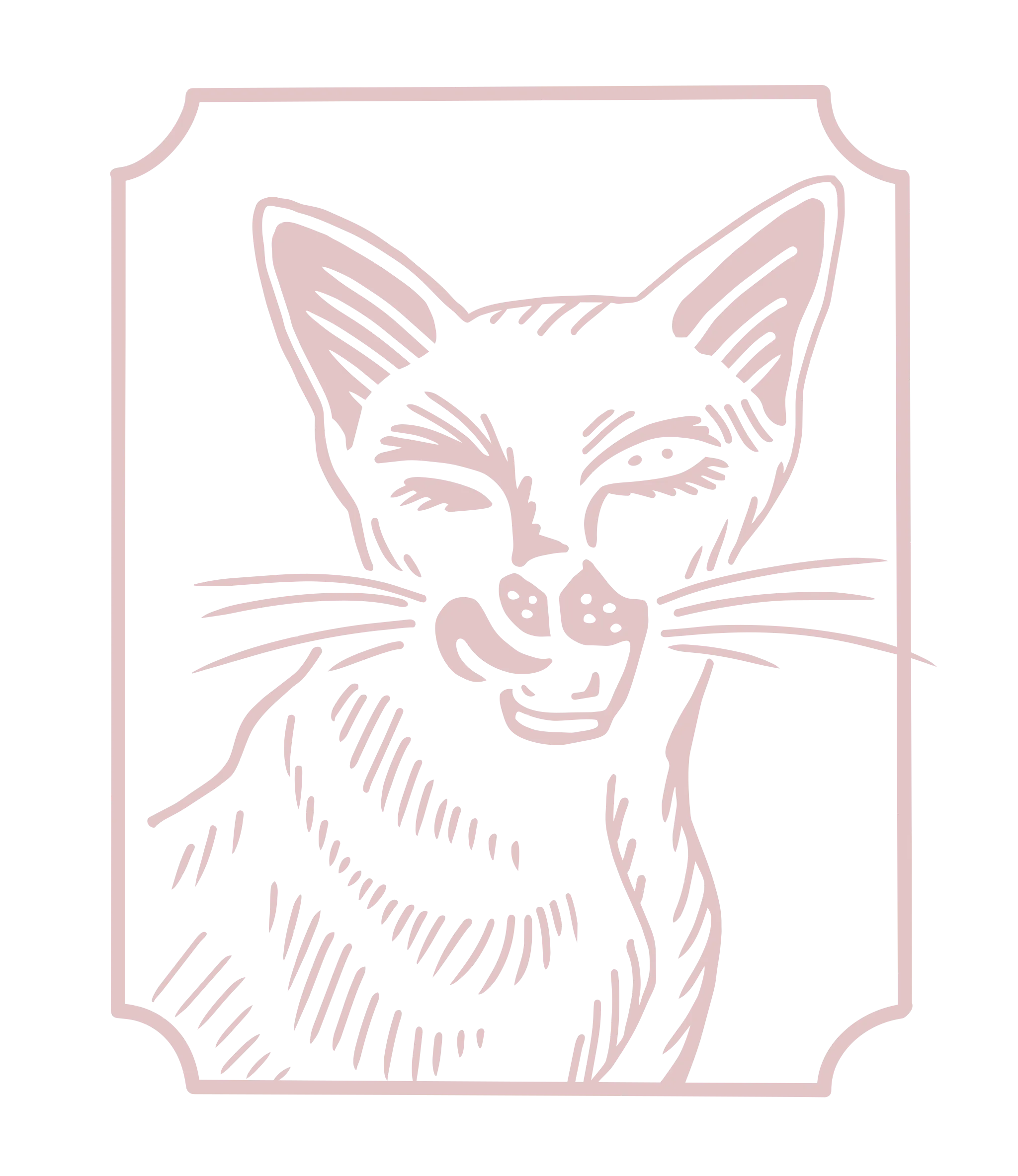 cat mouth lick