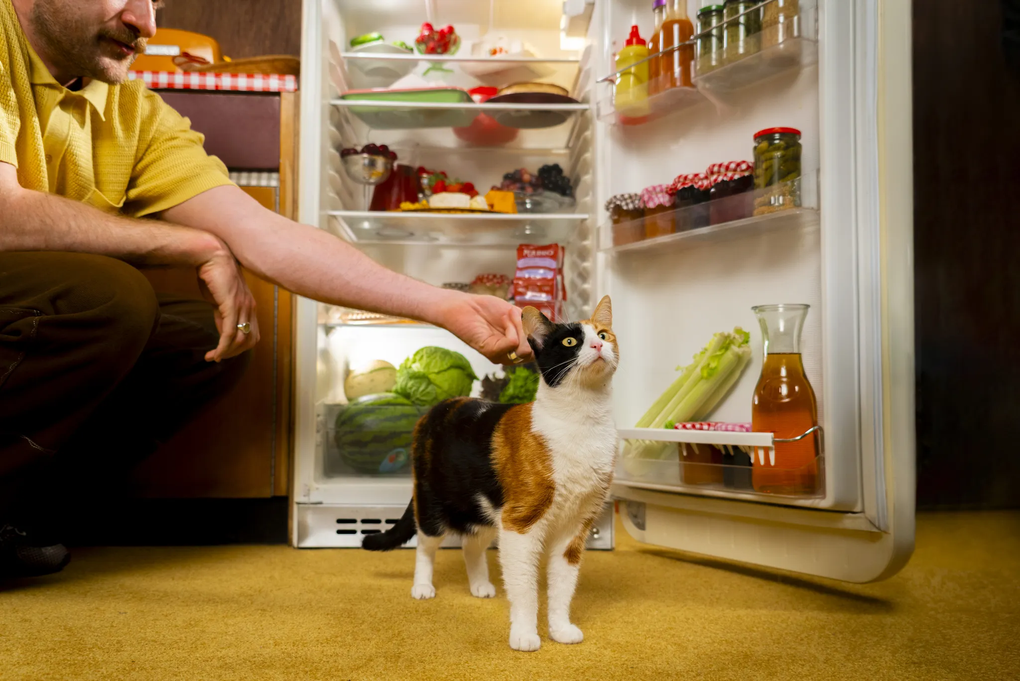 A man pets a calico cat standing near an open refrigerator filled with various foods and drinks in a cozy kitchen.