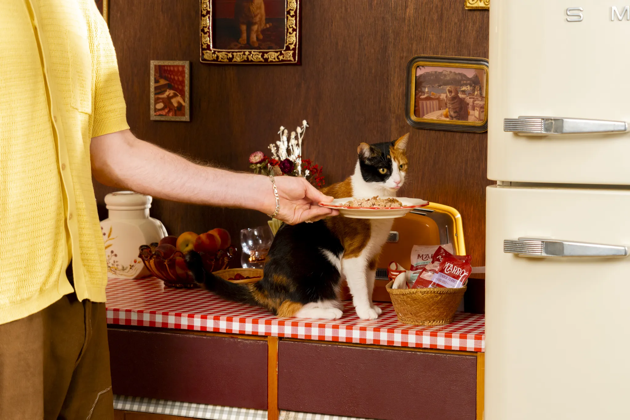 A person in a yellow shirt holds a plate of food for a calico cat on a checkered table in a vintage kitchen setting.