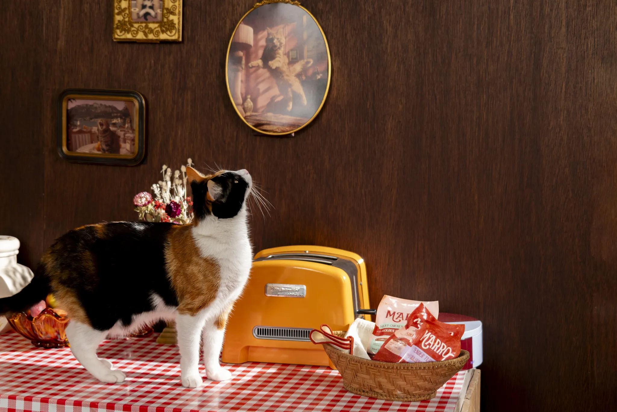 A calico cat stands on a red checkered tablecloth, looking at the wall art above an orange retro toaster with snacks in a basket nearby.