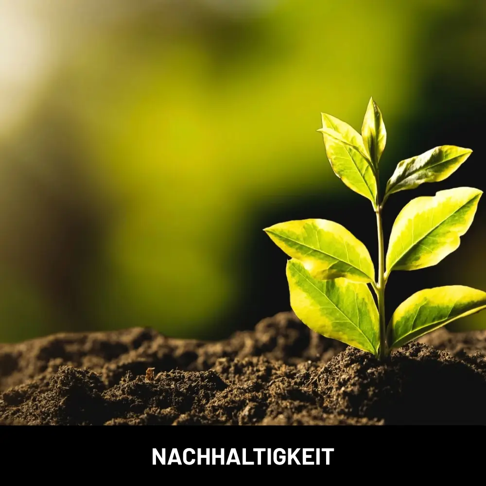 Nachhaltigkeit