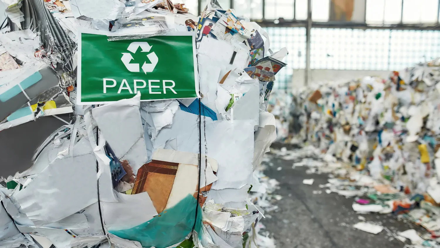 In einer Lagerhalle aufgestapelte Ballen aus Recyclingpapier, gekennzeichnet mit einem grünen Recyclingsymbol, während im Hintergrund weitere Ballen zu sehen sind.