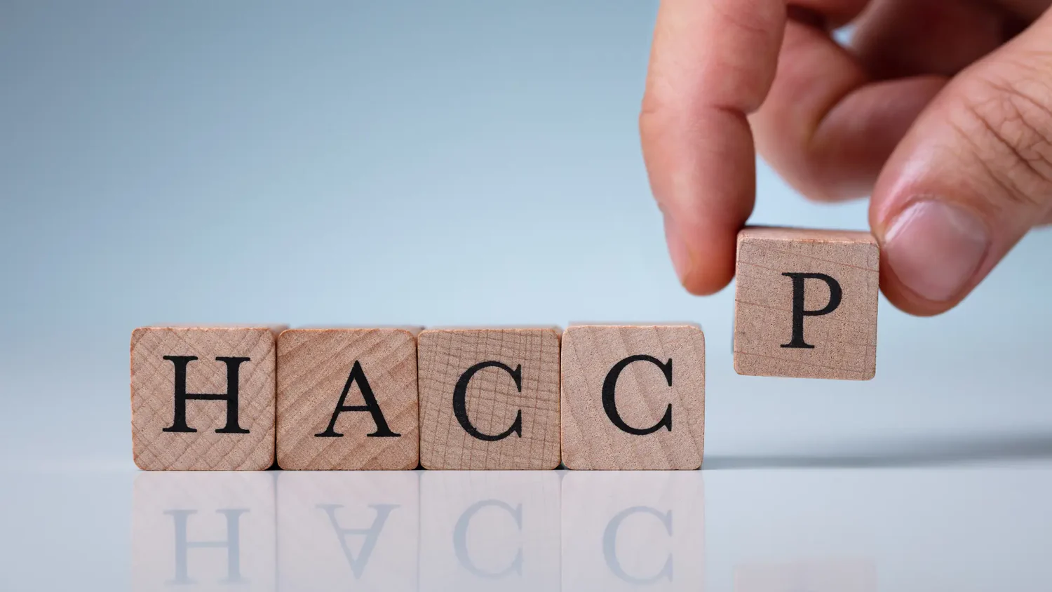 Eine Hand legt Holzklötze, die das Wort „HACCP“ bilden, auf eine glatte Oberfläche, was für die Gefahrenanalyse und kritische Kontrollpunkte in der Lebensmittelsicherheit steht.