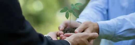 Hände in Business-Kleidung halten Erde mit einer kleinen Pflanze, was Wachstum und Zusammenarbeit symbolisiert, vor einem verschwommenen grünen Hintergrund.