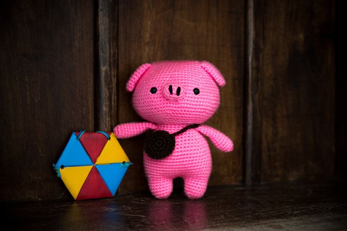 Pinky, the little Pig