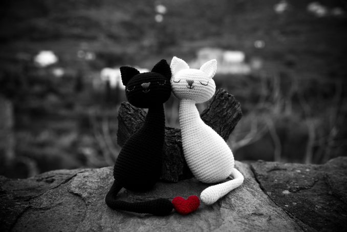 Agathos + Agathi, Gatos Enamorados