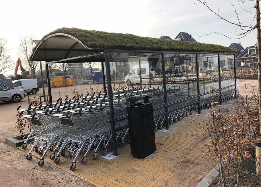 Een overdekt karrenstation buiten met een groen dak, waarin rijen winkelwagentjes staan, op een parkeerplaats met een paar voertuigen en gebouwen in de buurt.