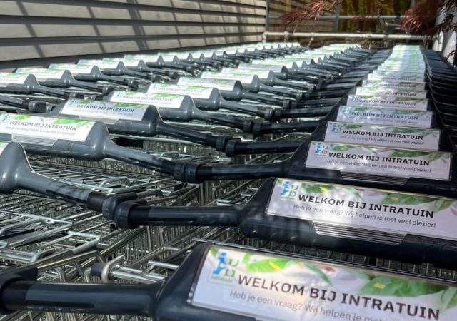 Rij winkelwagentjes met handgrepen met daarop "Welkom bij Intratuin" in een zonnige buitenomgeving.