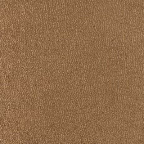 nube-cognac