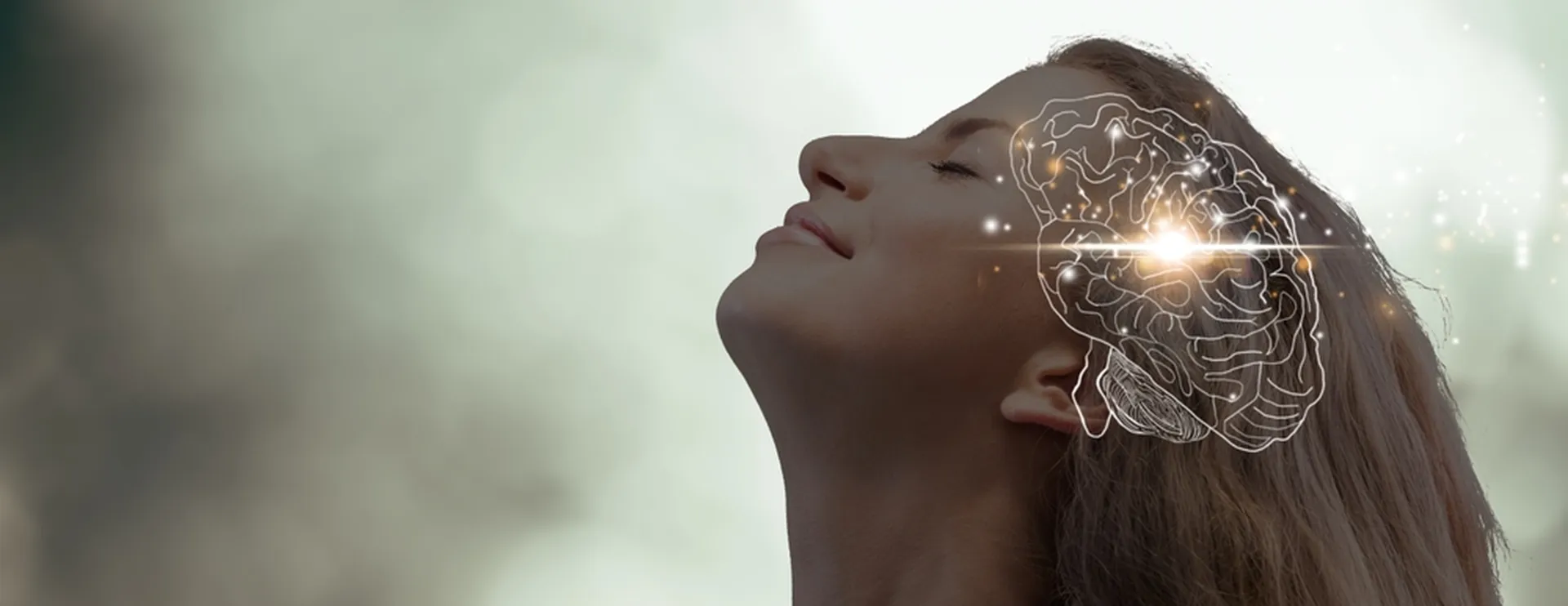 日本基礎心理学会第43回大会