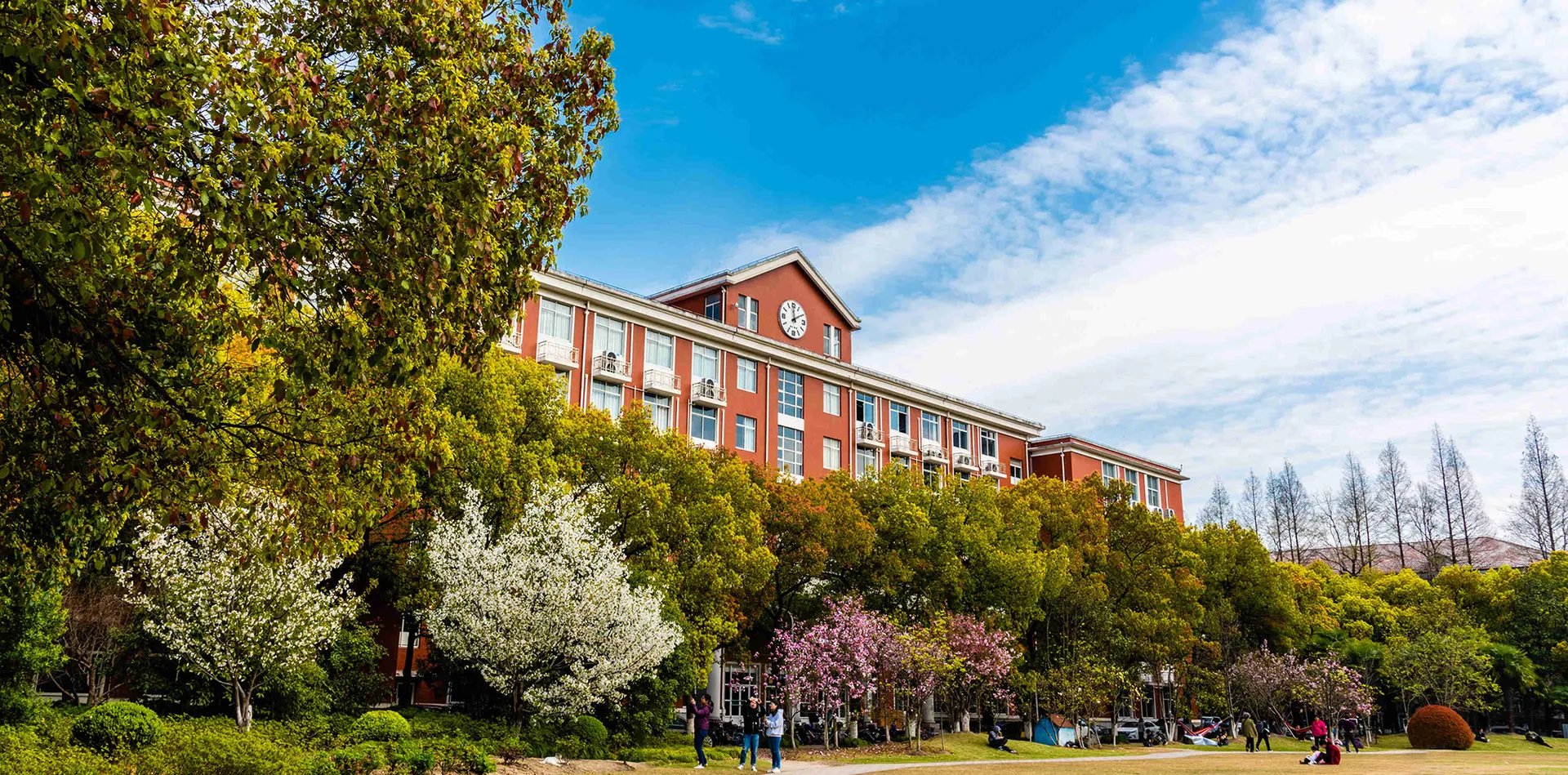 眼动追踪作为探索决策过程的有力工具 