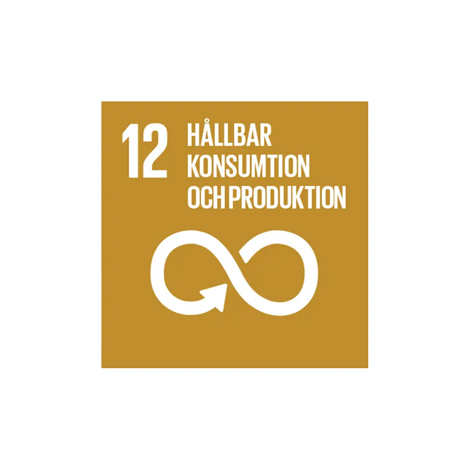 Mål 12: Hållbar konsumtion och produktion 