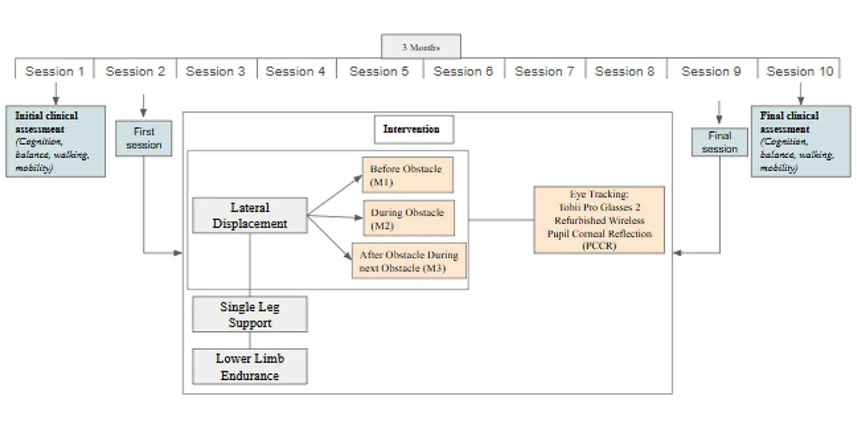 Figure 1. Intervention protocol study timeline.