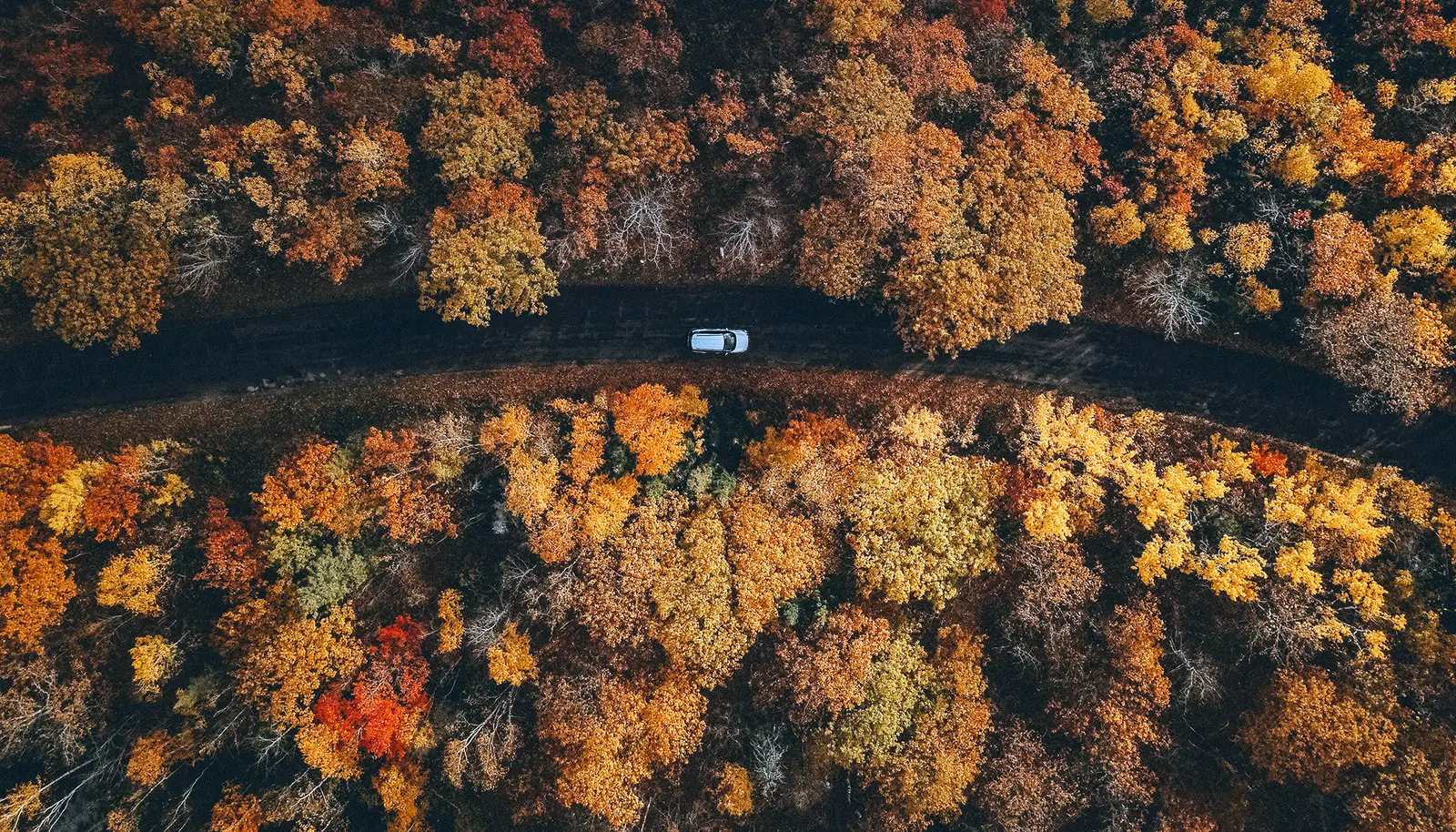 InCabin Europe