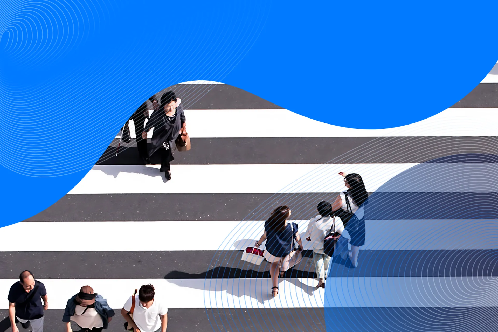 Tobii Insight Überprüfung