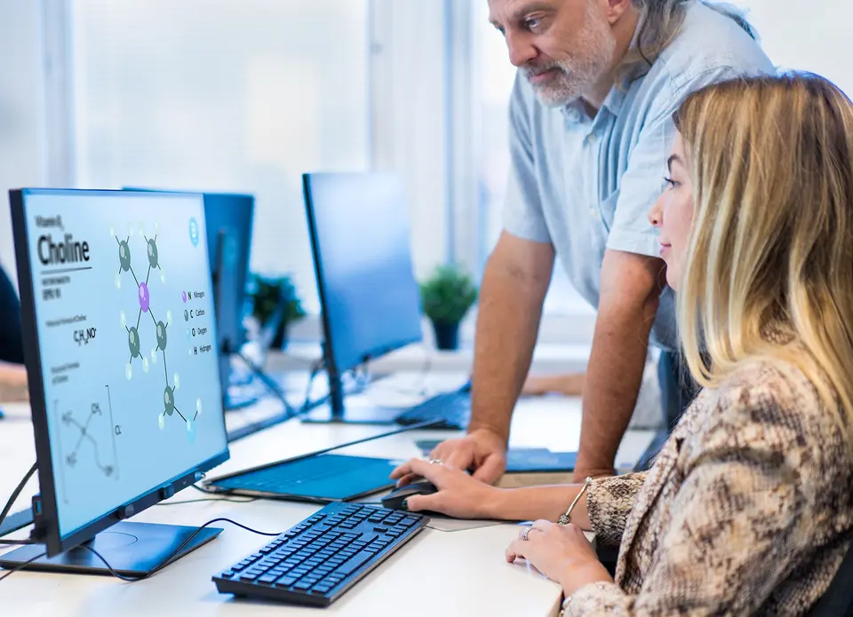 Training from eye tracking experts 