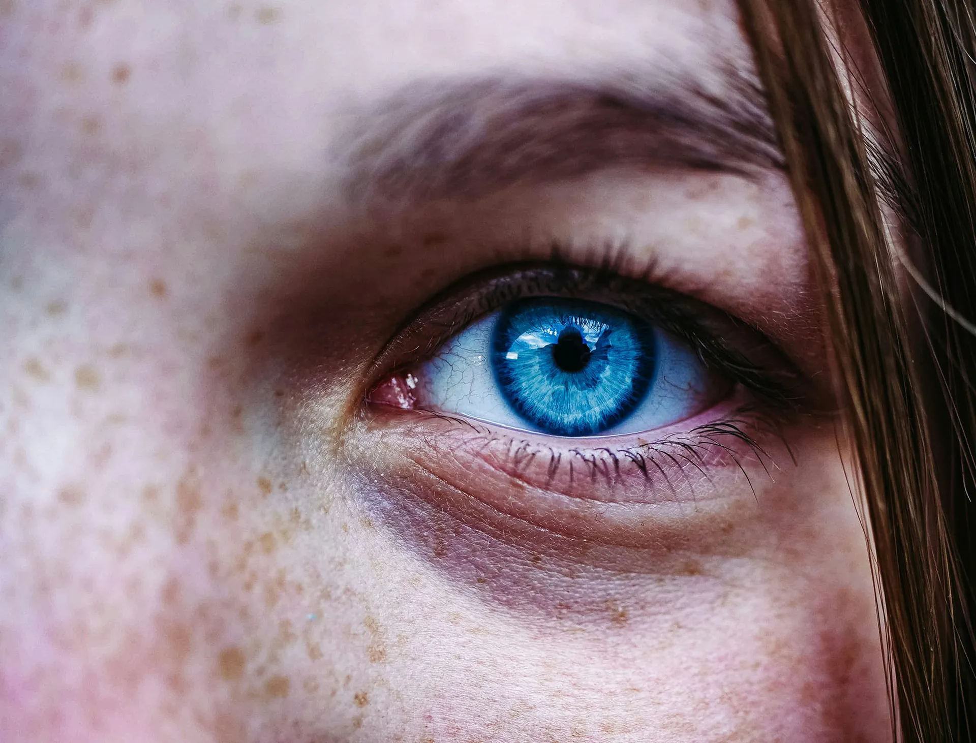 European Summer School on Eye Movements (ESSEM) 