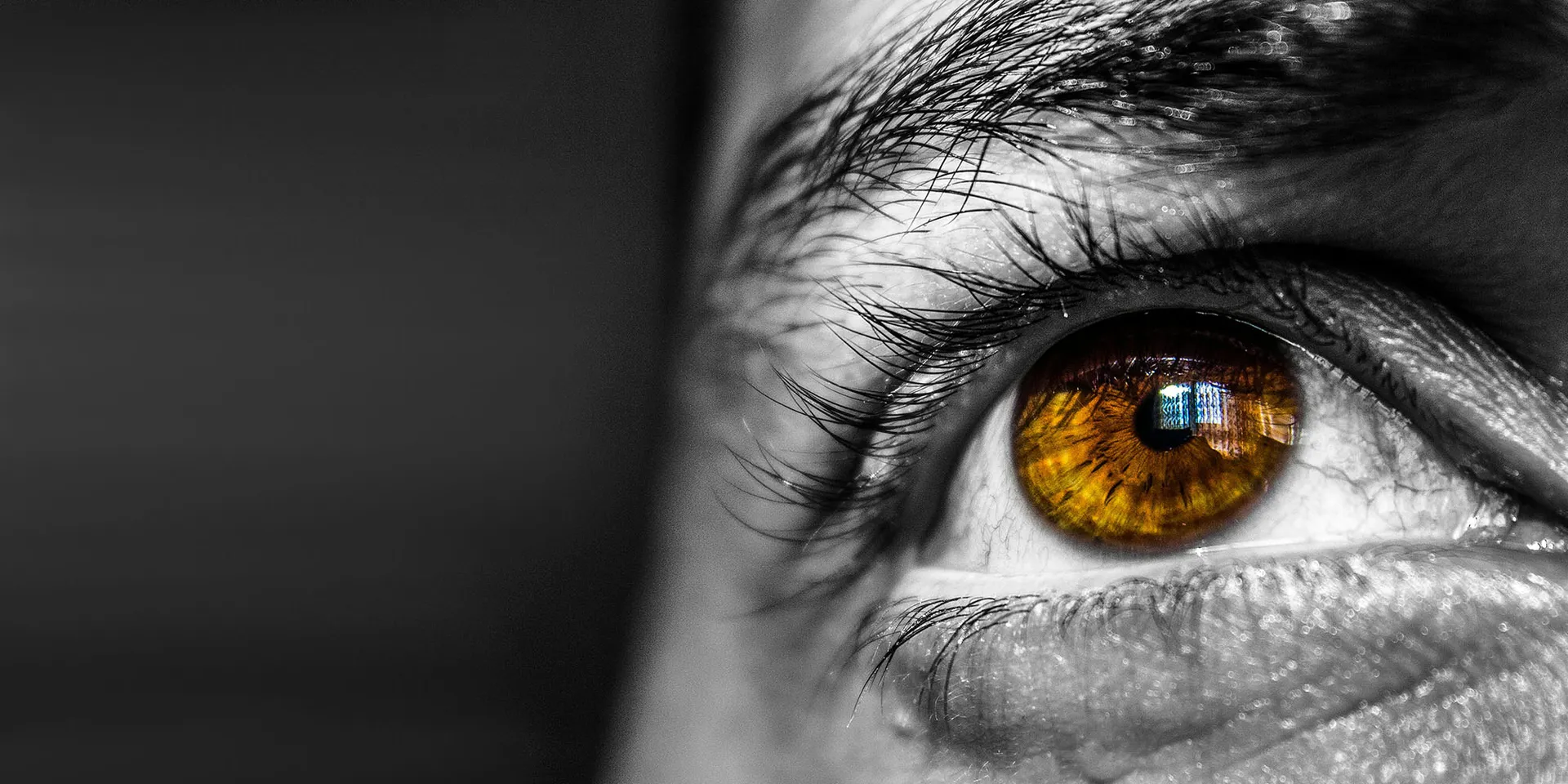 Bring clarity to human behavior with attention data 