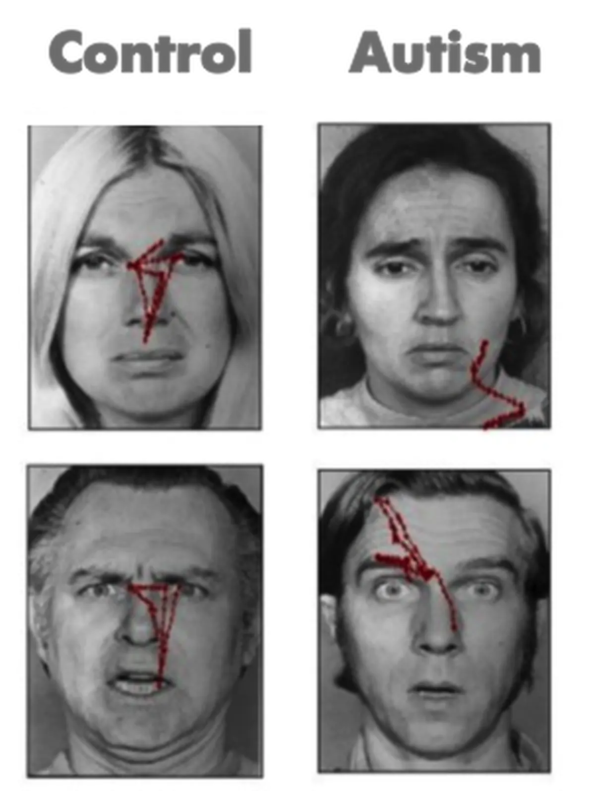 Visual scanning of faces in autism. Journal of autism and developmental disorders