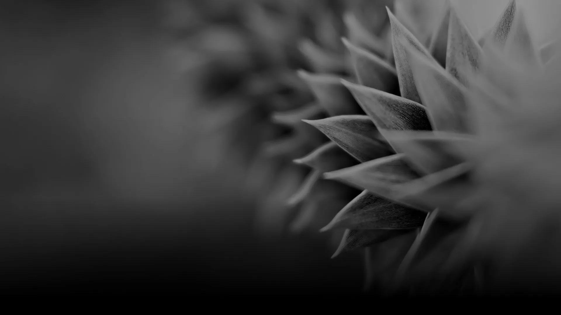 A lightweight foveation codec for VR​