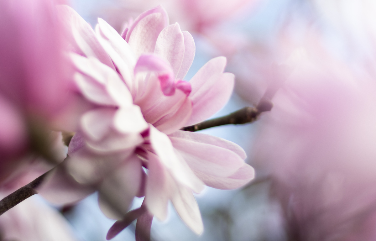 Was ist foveated rendering? - Tobii