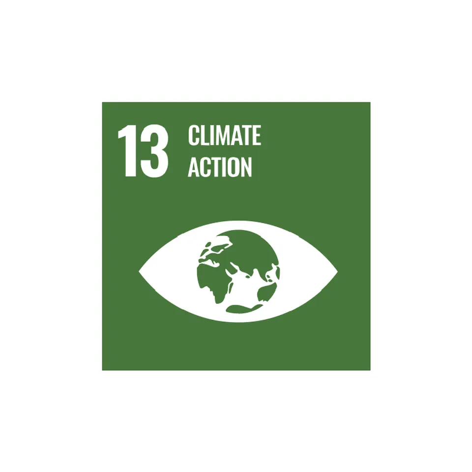 Goal 13: Combat climate change 
