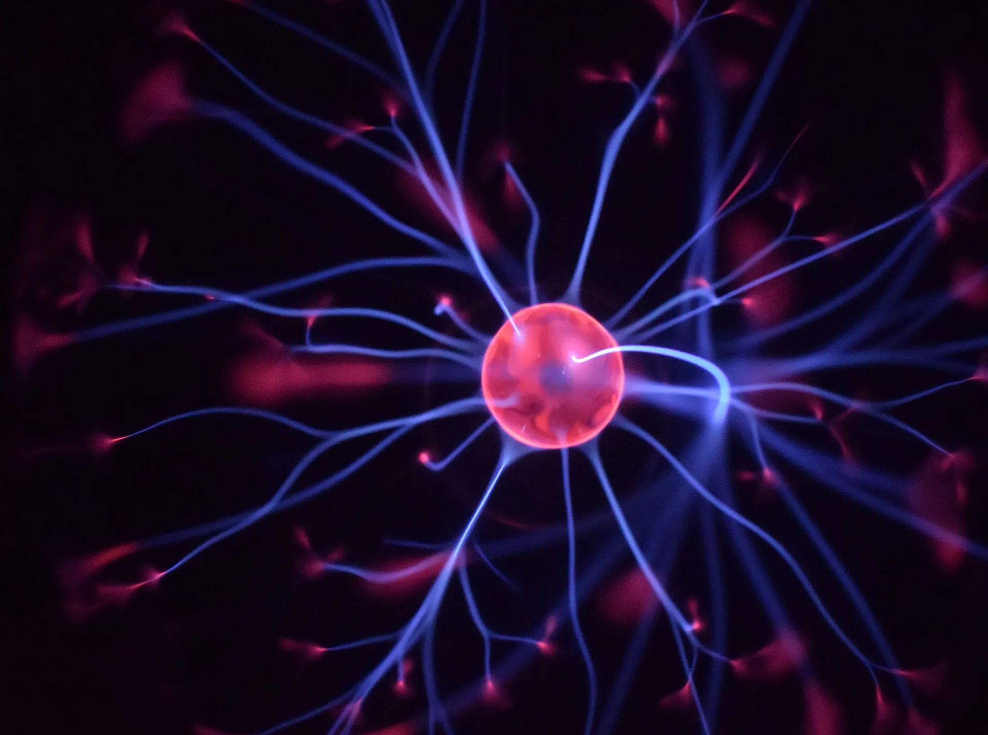 与 Tobii 和我们的合作伙伴 Noldus 合作