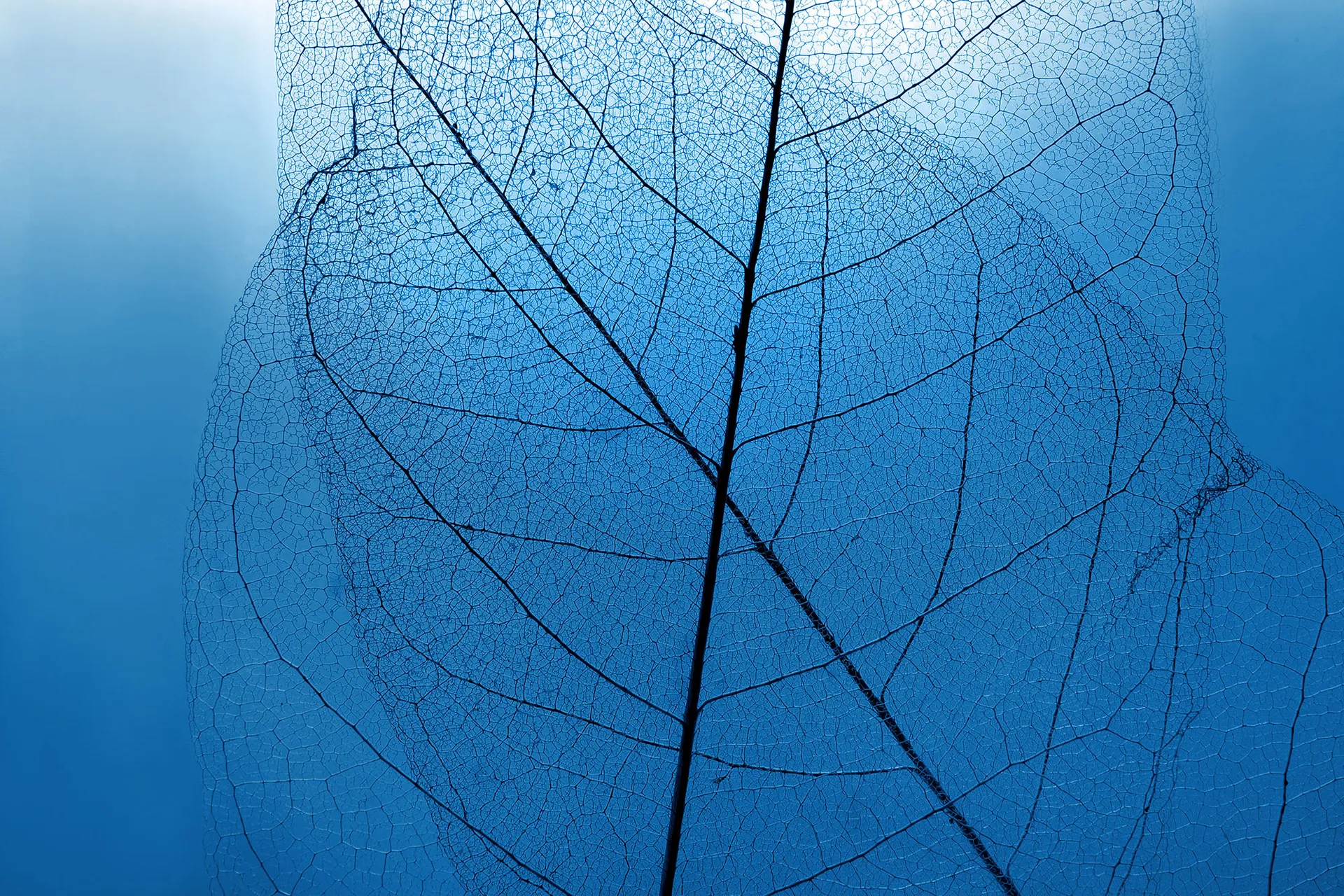 Richtlinie zur Datentransparenz (widerrufen)