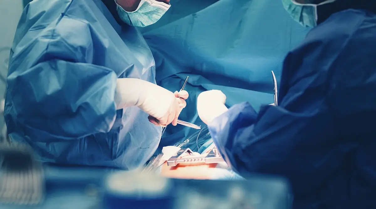 Surgeons - medical simulation