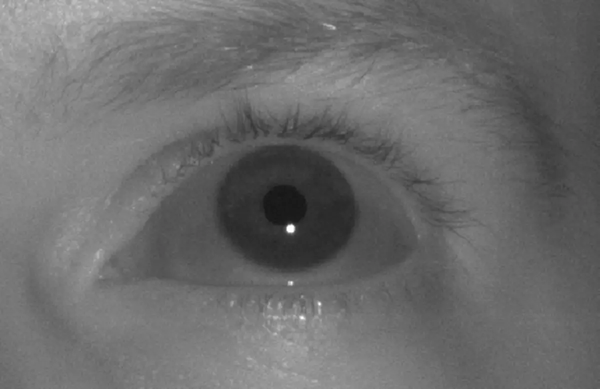 Figura 2. Imagen de un ojo iluminado por la luz infrarroja cercana. El reflejo de la luz en la córnea (destello) se rastrea en relación con la posición del centro de la pupila. Esto permite estimar la dirección del punto de mirada, o simplemente - lo que miramos. Imagen de Tobii.  