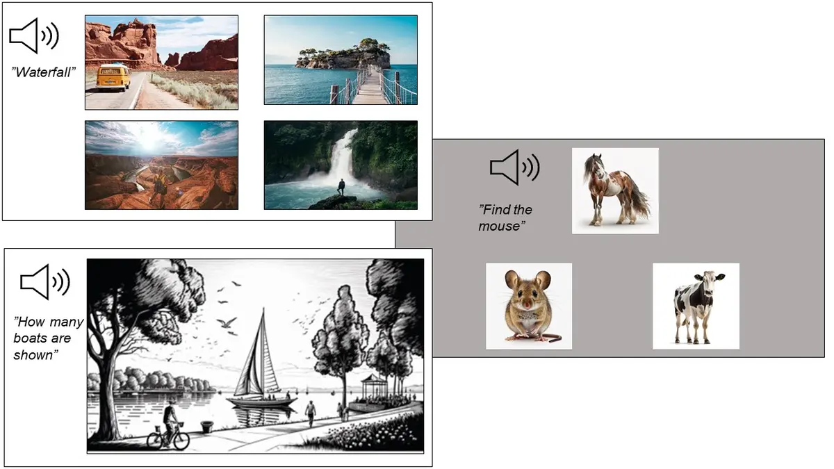 Picture 3. Example of possible visual world paradigms. Audio instruction can range from whole sentences to single words or questions. 