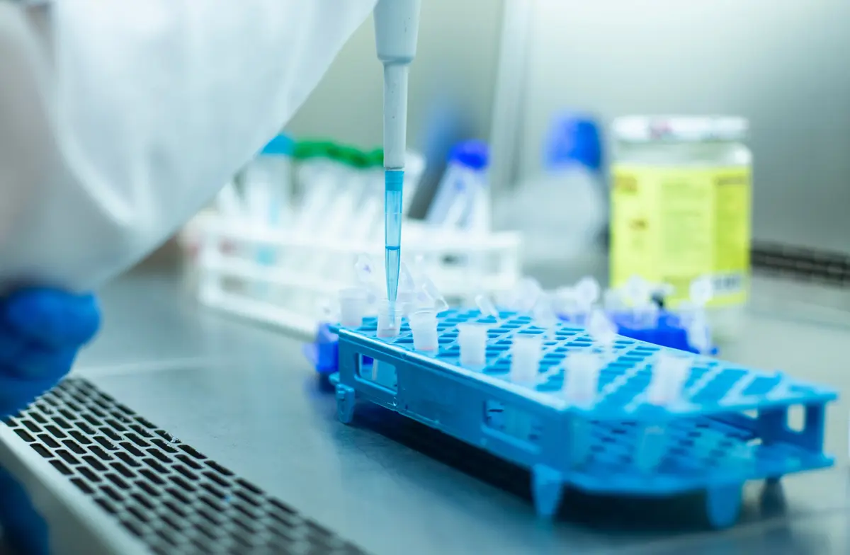 Cell culture experiments in a cell culture room in a safety cabinet
