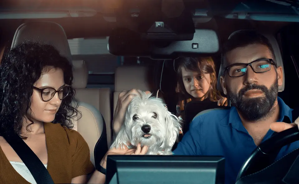 In-cabin sensing