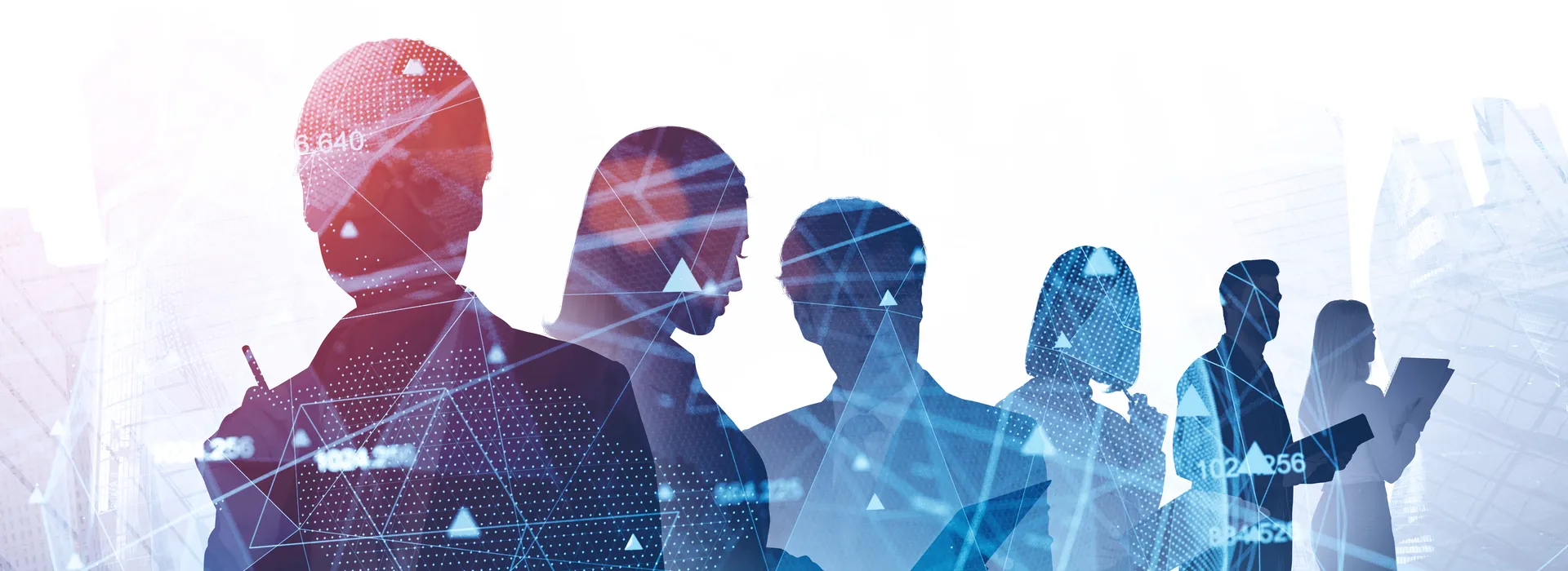 我们的合作伙伴网络 