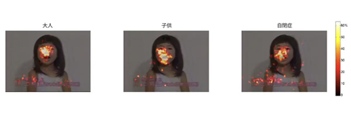 A heatmap showing the attention distribution.