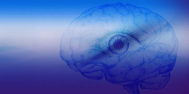 Die neuesten Fortschritte in der Eye Tracking-Forschung