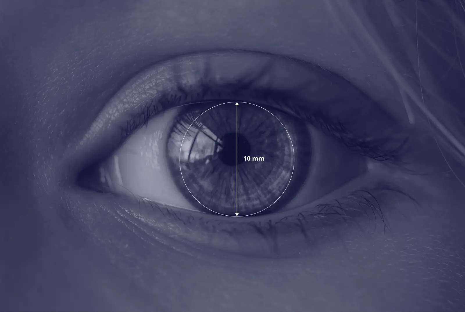 Rapport sur l'ouverture des yeux