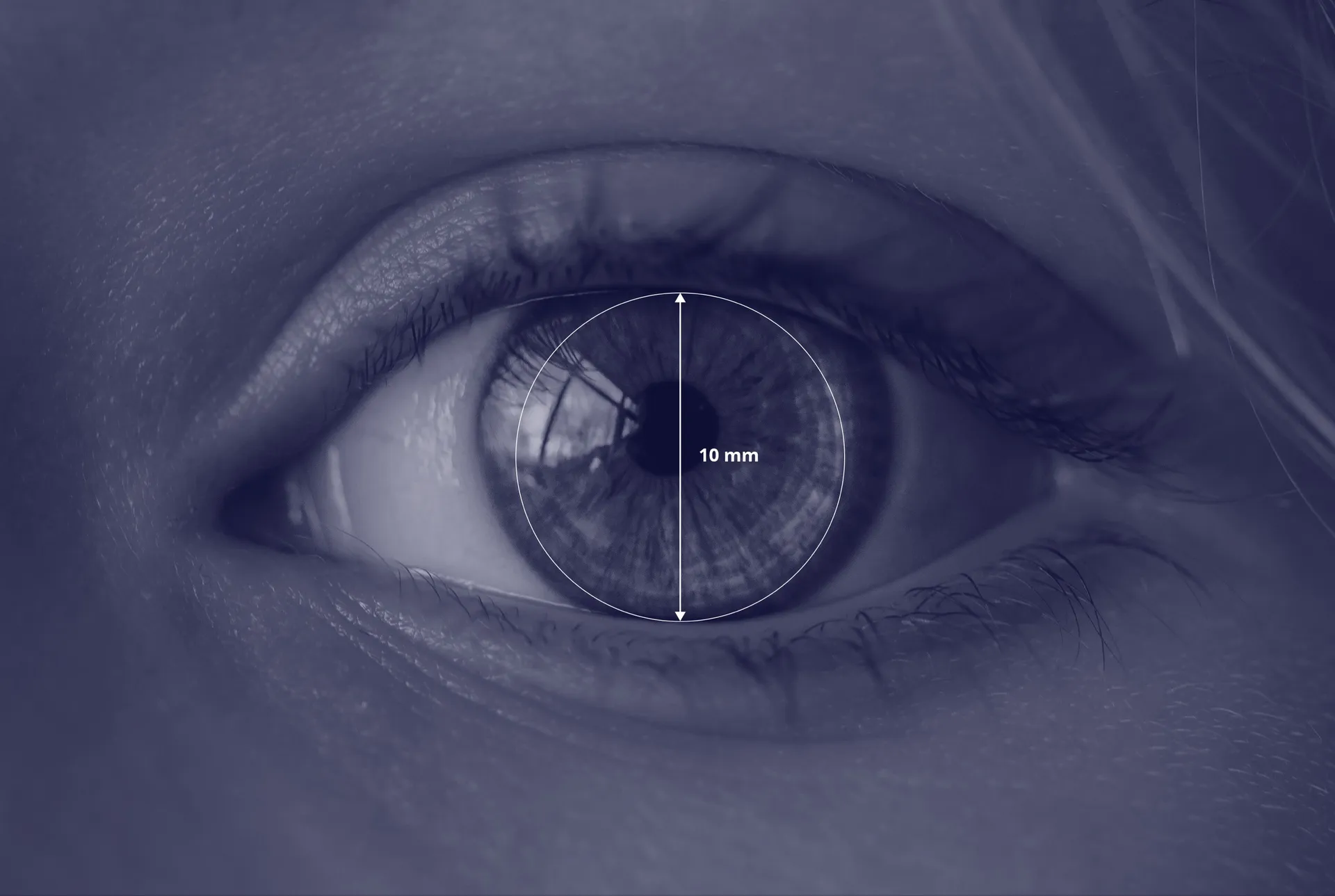 Tobii 亮相 ETRA 2024