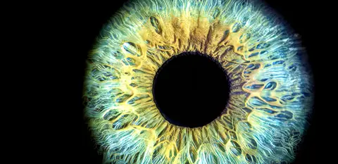 Measuring pupil size with eye tracking