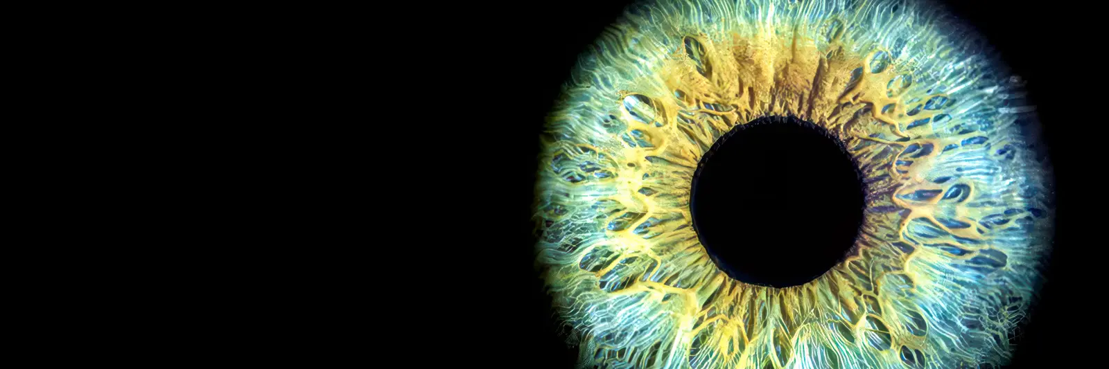 Measuring pupil size with eye tracking