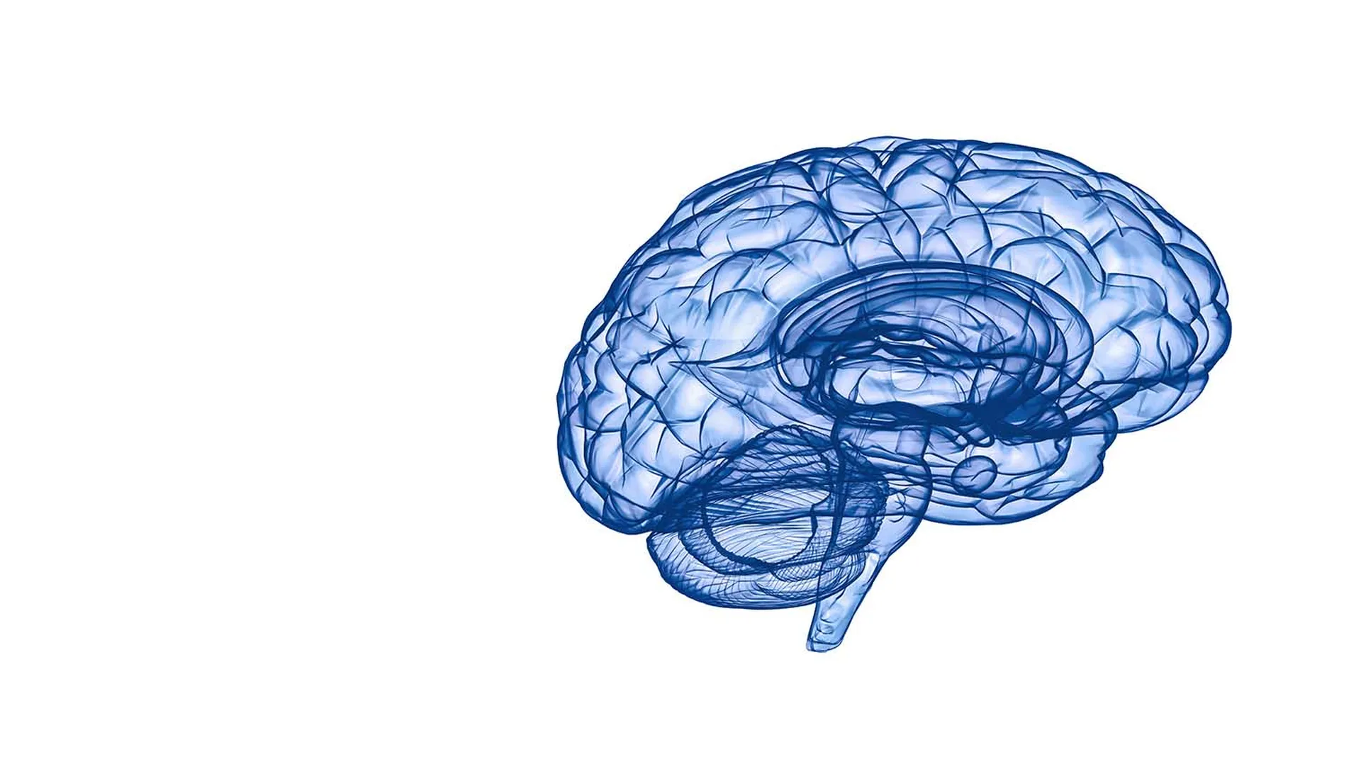 日本高次脳機能障害学会