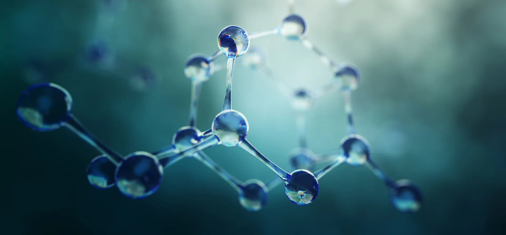 論文・参考文献