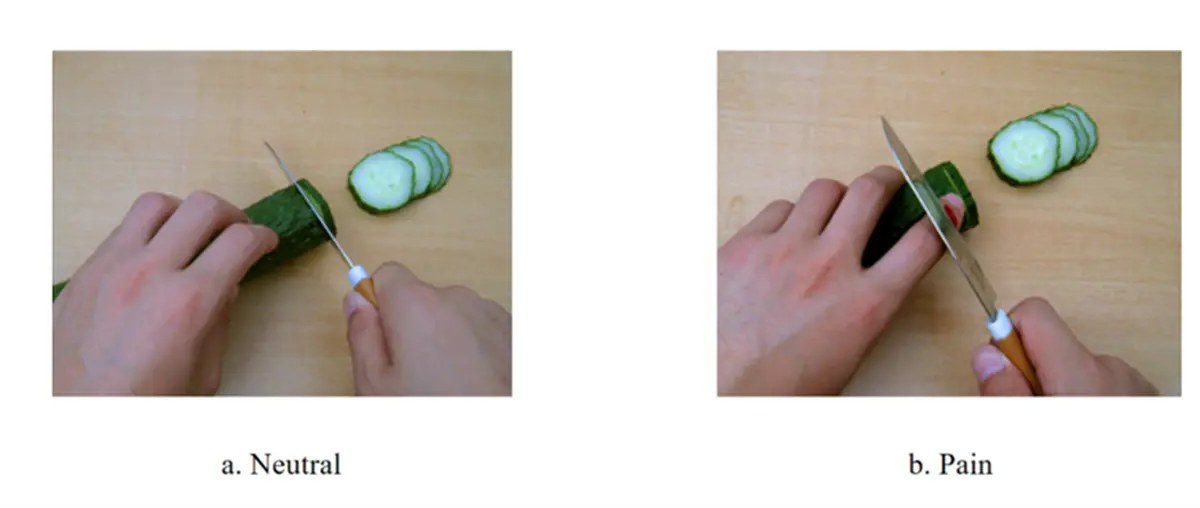 図1.刺激の図。