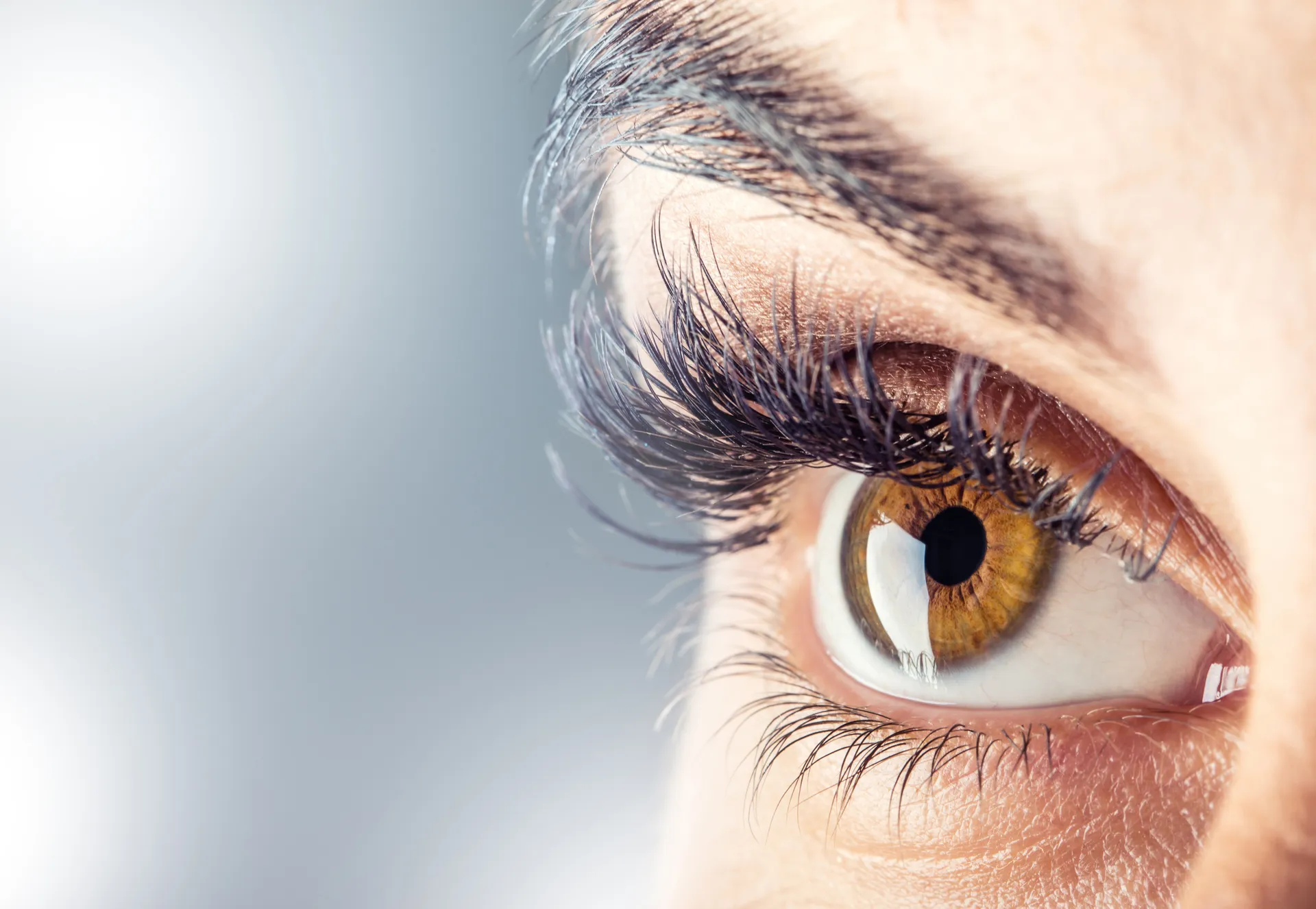 向眼动仪研究专家提问